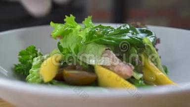 食品造型与设计理念.. 厨师在豪华餐厅装饰素食沙拉。 高级美食概念